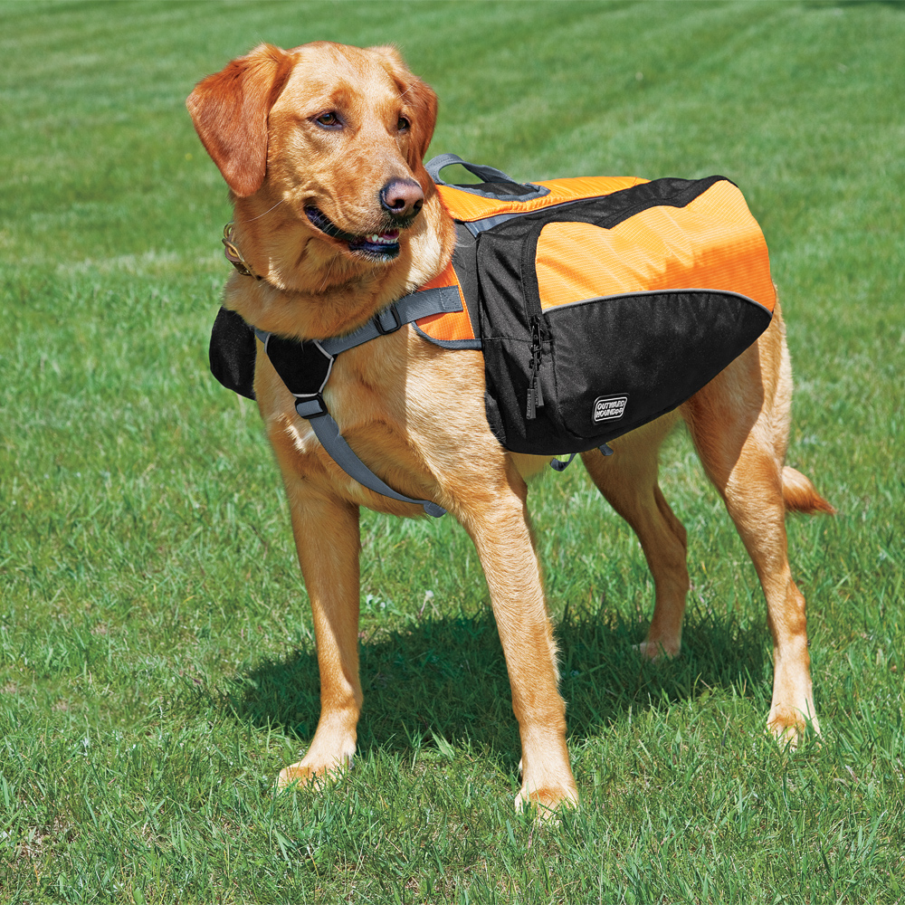 Popular Dog Backpacks | Backpack Outpost